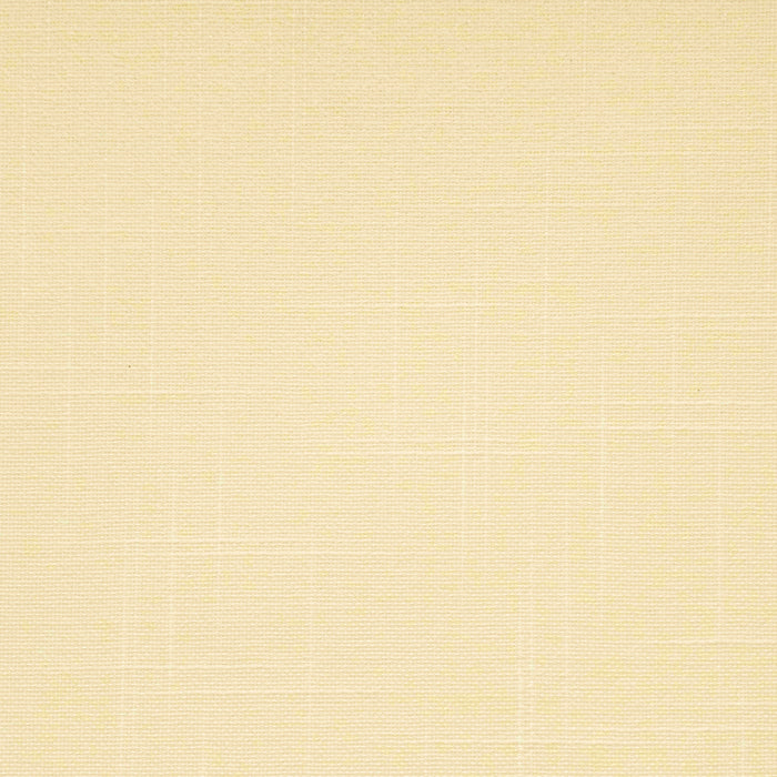 VIEWTEX Tenda a rullo Traslucida Shape Beige 120 X 250cm - Made in Europe - 5 anni di garanzia