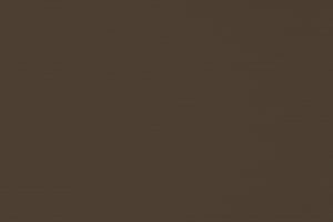 VIEWTEX Tenda a rullo Traslucida Ecofuture (100% tessuto riciclato) Marrone 105 X 250cm - Made in Europe - 5 anni di garanzia