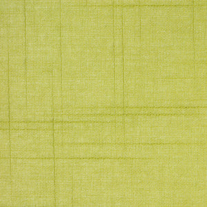 VIEWTEX Tenda a rullo traslucida Etamine Verde 120 X 250cm - Made in Europe - 5 anni di garanzia