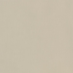 VIEWTEX Tenda a rullo Traslucida Chela Beige 200 X 250cm - Made in Europe - 5 anni di Garanzia