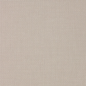 VIEWTEX Tenda a rullo Screen  10% Grado di apertura pebble 75 x 250 cm - Made in Europe - 5 anni di garanzia