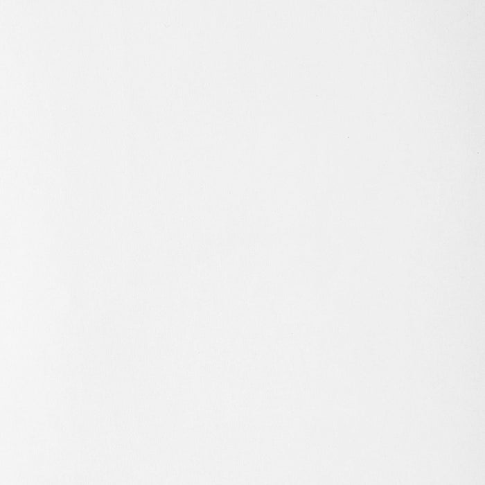 VIEWTEX Tenda a rullo Traslucida Basic Bianco 105 X 250cm - Made in Europe - 5 anni di Garanzia