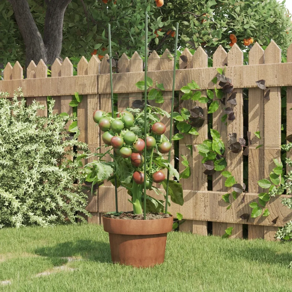 Supporti Piante da Giardino con 3 Anelli 5 pz Verde 60cm Acciaio CFW6454335