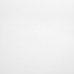 Emuca Piani d'appoggio per scaffali, 600x200, Verniciato bianco, Legno, 1 un