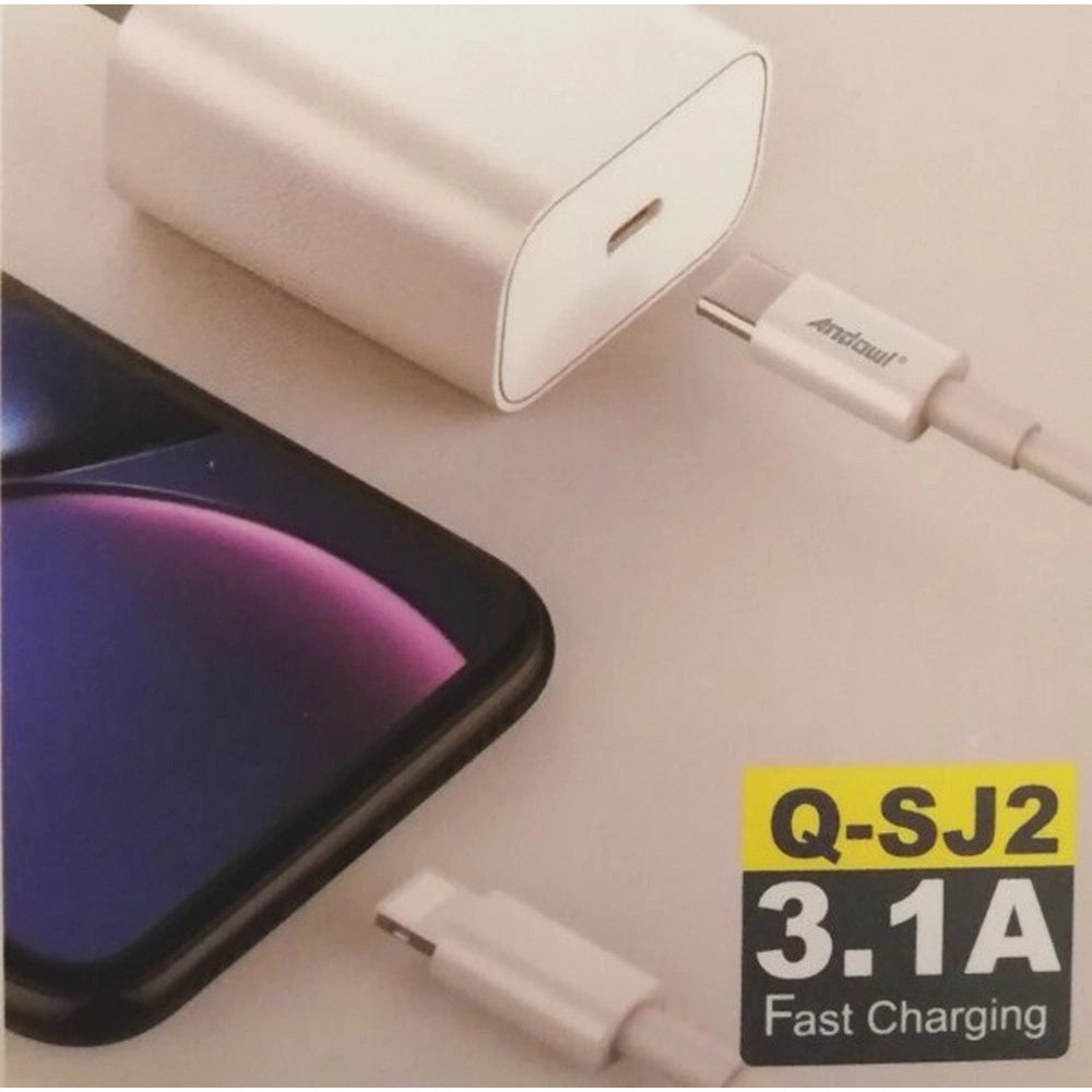 Trade Shop - Cavo Q-sj2 Da Usb-c A Lightning Ricarica Rapida Power Delivery Trasferimento Dati 3.1a 1mt -