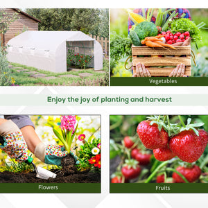 Easycomfort Serra per Orto 6x3x2m con 8 Finestre e Porta Avvolgibile, in Acciaio e PP, Verde