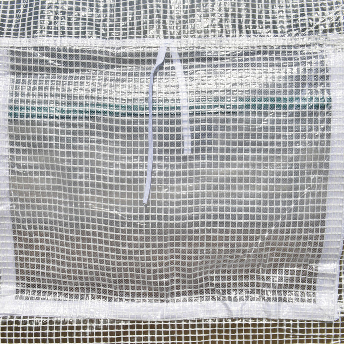 Easycomfort Serra per Orto 6x3x2m con 8 Finestre e Porta Avvolgibile, in Acciaio e PP, Verde