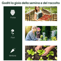 Easycomfort Serra da giardino a Tunnel in Acciaio e con Copertura in PVC, 200x100x80 cm, Trasparente e Verde