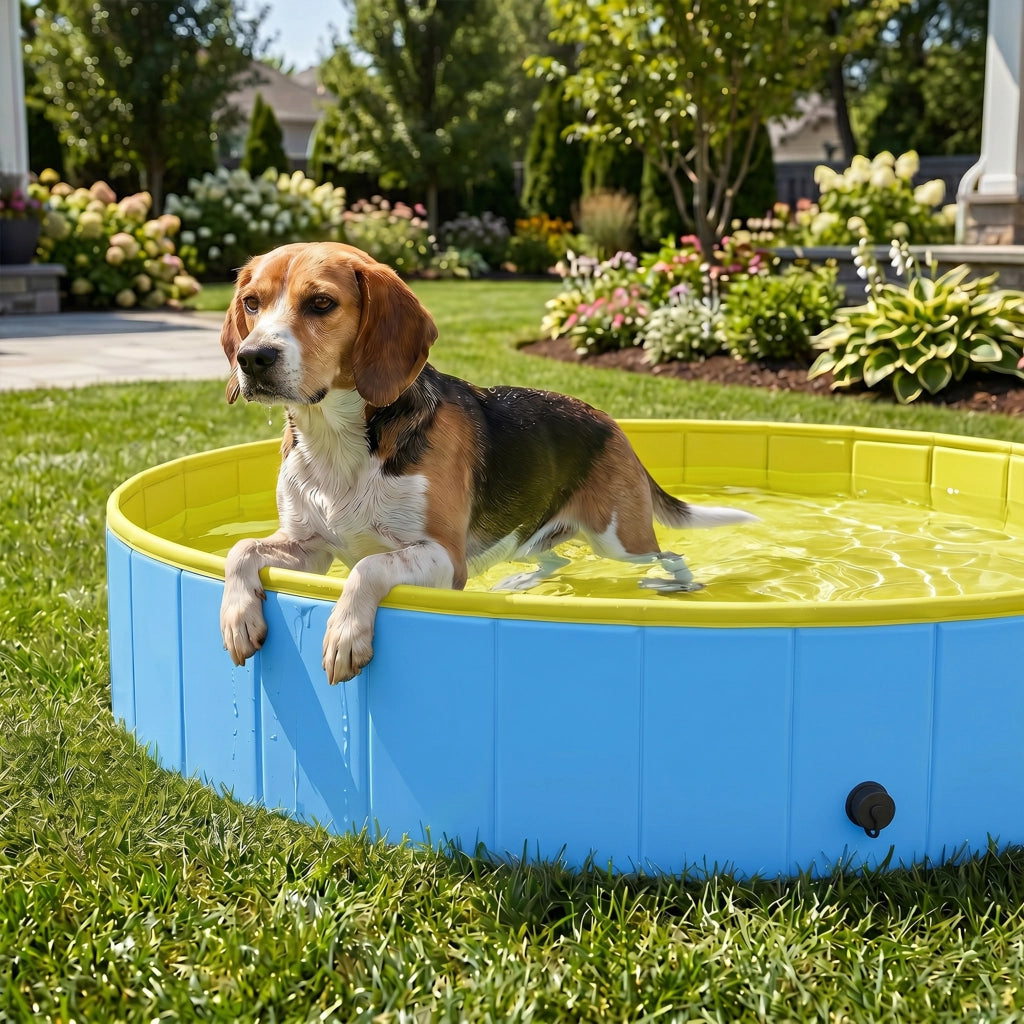 Piscina Pieghevole per Cani ¨C Xylo ¨C 120x30cm