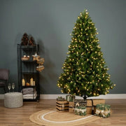 Albero Bromont Verde