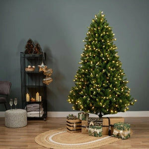 Albero Bromont Verde