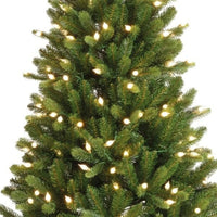 Albero Bromont Verde