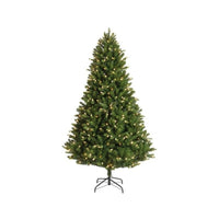 Albero Bromont Verde