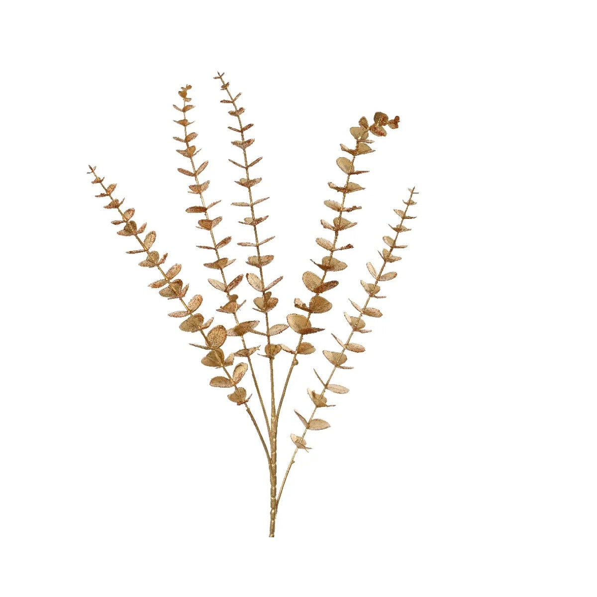 EUCALIPTO COLORE ORO