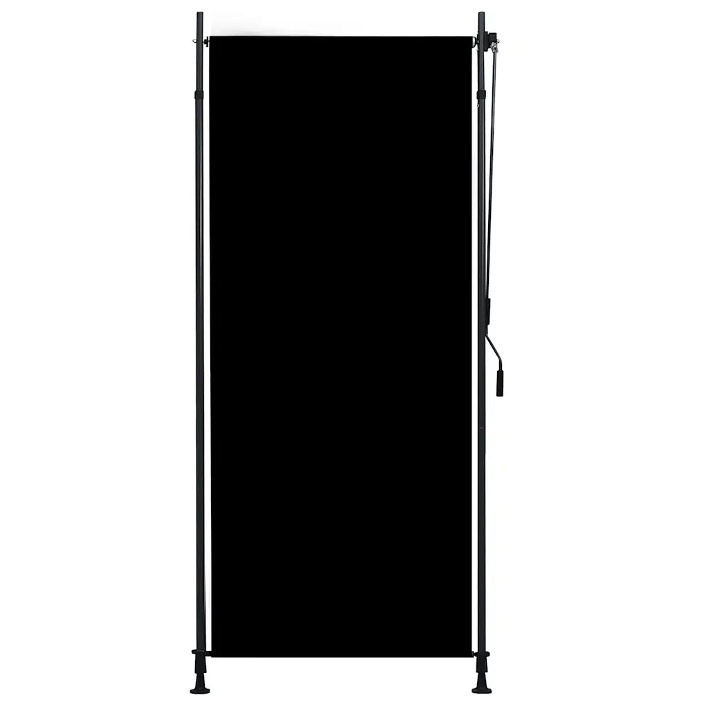 Tenda a rullo | Tenda avvolgibile per Esterni 100x270 cm Antracite