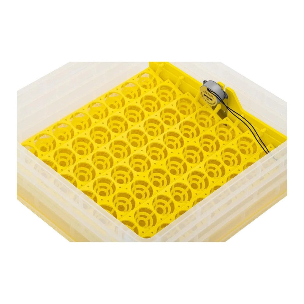 Incubatrice per uova - 112 uova lampada per uova inclusa completamente automatica 14_0001191