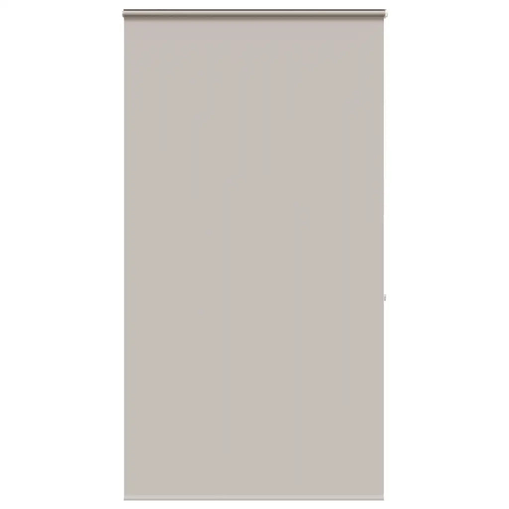 Tenda a Rullo Doccia con Cassonetto 120x240cm Larghezza Tessuto 4014992
