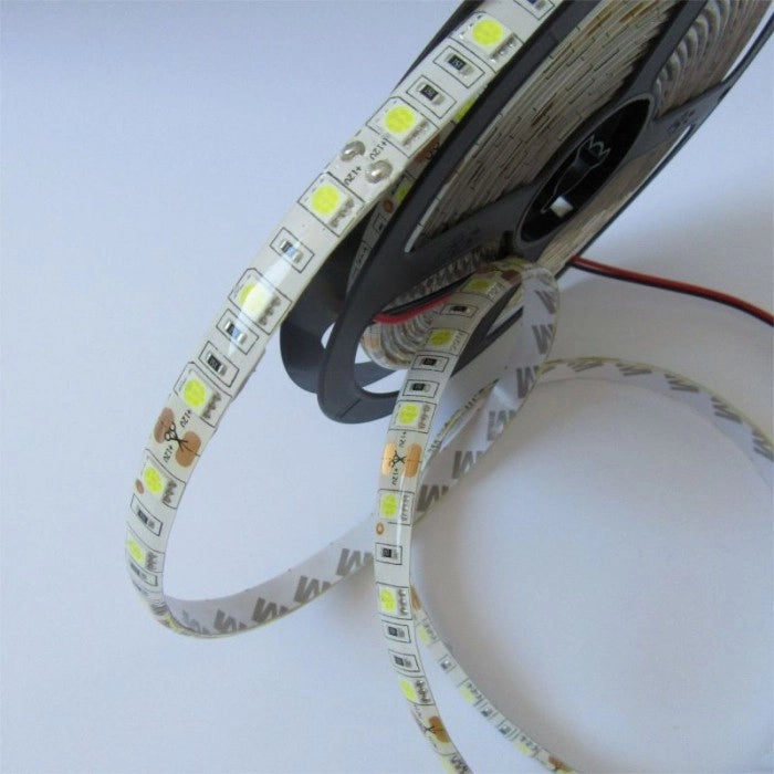 Striscia LED 5m 19W/m 6500K 1550lm/m 12V IP63 dimmerabile
