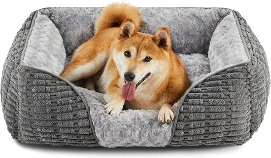 Cuscino per cani Yorkshire dimensioni 51x48x16cm piccolo ortopedico comodo