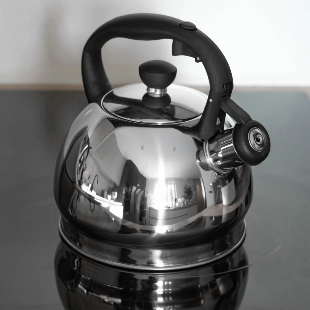 Bollitore a gas/induzione KADAX da 1,8 l con fischietto, in acciaio inox tradizionale, colore argento.