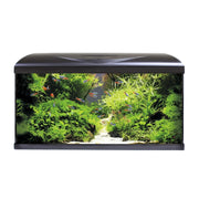 AMTRA SYSTEM TANK V2 80 LED BLACK