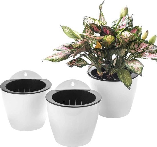Pannelli per piante in plastica rotonda - autosorbenza - fissaggio verticale per muro/finestra - per uso indoor/outdoor - per piante, fiori, piante grasse, erbe - bianchi - set di 3 - piccolo