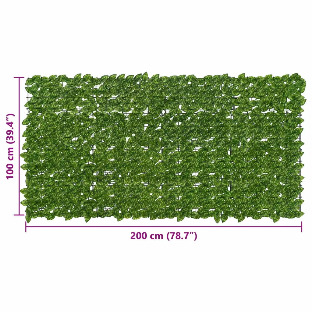 Schermo per balcone con foglie-Pannello per balcone Verde e Giallo 200 x 100 cm 619911