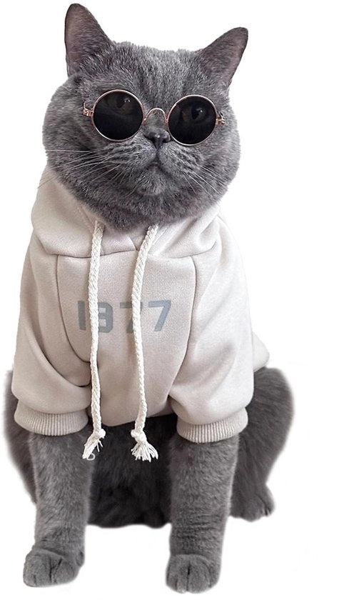 Abbigliamento per Gatti - Giacca Invernale - Camicia di Cotone - Impermeabile a Fleece - Taglia M - Comodo e Caldo - Arancione - Abbigliamento per Animali di Compagnia
