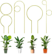 Sostegno climatico per piante di camera e giardino - Set da 4 pezzi (oro)