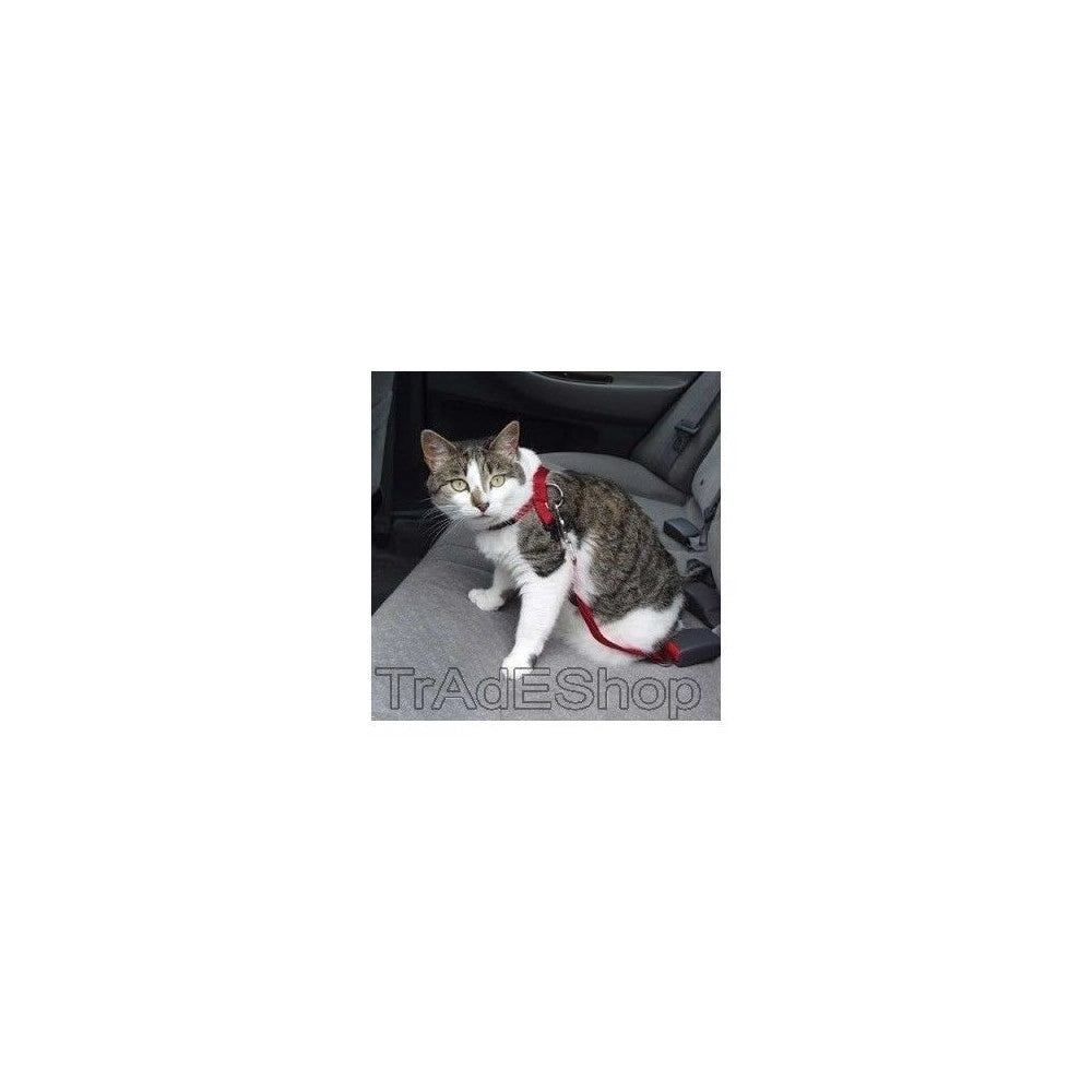 Trade Shop - Cintura Di Sicurezza Per Cani Cane Guinzaglio Regolabile Auto Universale -
