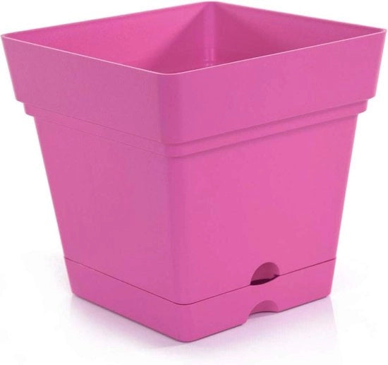 Pianta Vaso Quadrato 165 cm (Fucsia) - Ideale per il giardinaggio di fiori piante - Sostenibile per interni esterni terrazza prato