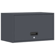 Elegante armadio da garage a parete moderno e funzionale con scomparto verticale 60 x 33 x 35 cm acciaio antracite 02_0052855