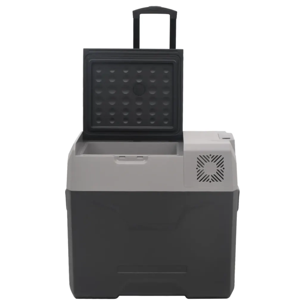 Borsa Frigo con Manico e Ruote Nera e Grigia 50 L Polipropilene 51783