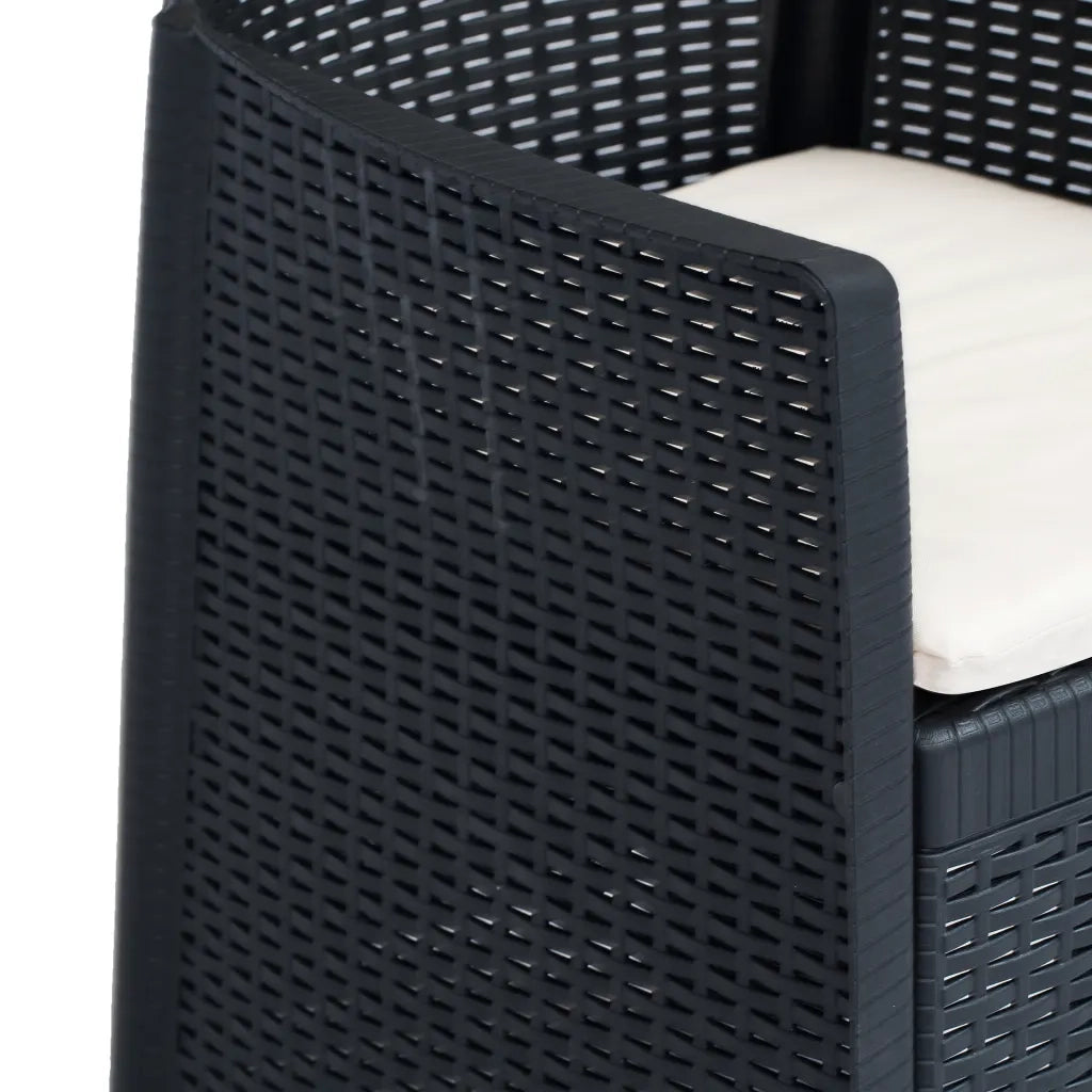 Sedie da Giardino 2 pz Cuscino Antracite Plastica Stile Rattan 45599
