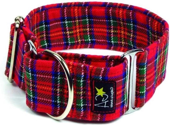 Collare martingale per cani 4 cm - Misura M (30-39 cm) - Finestra scozzese