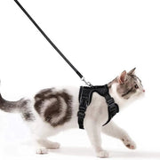 Harnas per Gatti con Cinturino per Gattini - Anti-Esapes e Strisce Riflettenti, Nero, Taglia S