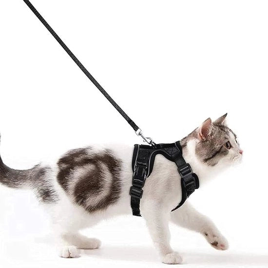 Harnas per Gatti con Cinturino per Gattini - Anti-Esapes e Strisce Riflettenti, Nero, Taglia S