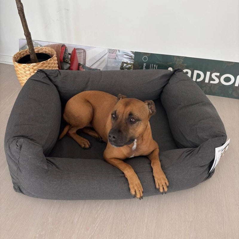 Lit pour chien SMALL - MADISON SÃ©rie Royale