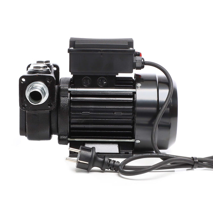 Pompa autoadescante per diesel gasolio 100 l/min 750W 230V altezza di aspirazione 3 m