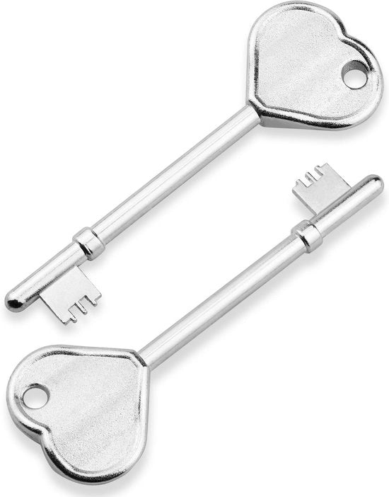 Chiave per accesso ai servizi igienici, 2-pack, chiave per accesso ai servizi igienici migliorata, interamente in metallo