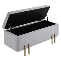 Panca Contenitore Imbottita per Soggiorno e Camera da Letto, 100 x 40 x 42 cm, Grigio