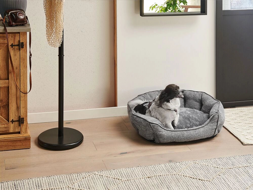 Set di 6 sedie da giardino beige con sedile sintetico struttura in acciaio inox stile cantilever