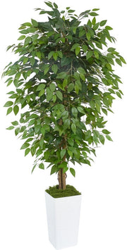 Ficus Kunstboom 180cm, Grande Pianta Finta di Ficus, Pianta di Ficus Benjamini per Ufficio, Casa, Decorazione Interna e Esterna, Salotto, Camera da Letto, Giardino