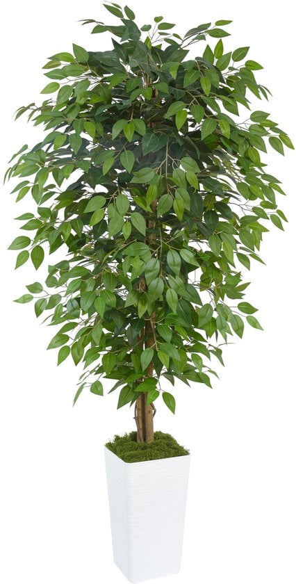 Ficus Kunstboom 180cm, Grande Pianta Finta di Ficus, Pianta di Ficus Benjamini per Ufficio, Casa, Decorazione Interna e Esterna, Salotto, Camera da Letto, Giardino