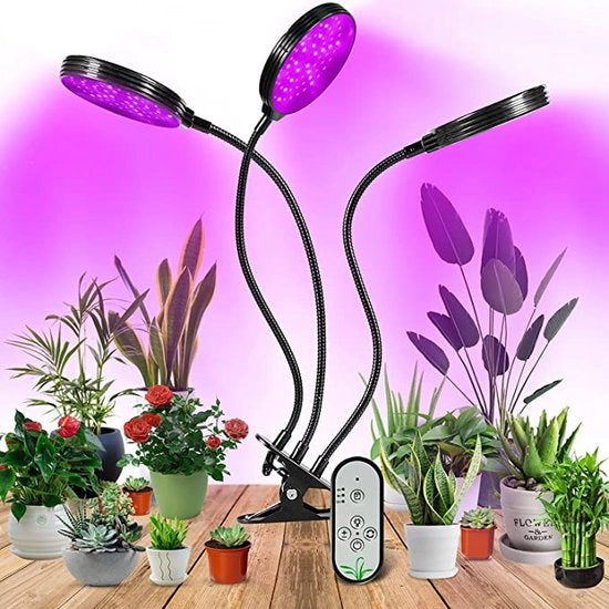 Luce per Piante / Luce per Crescita delle Piante / [Classe di Efficienza A+++] - PIANTINE PIÙ SALUTEVOLI / Luce LED Indoor Efficace