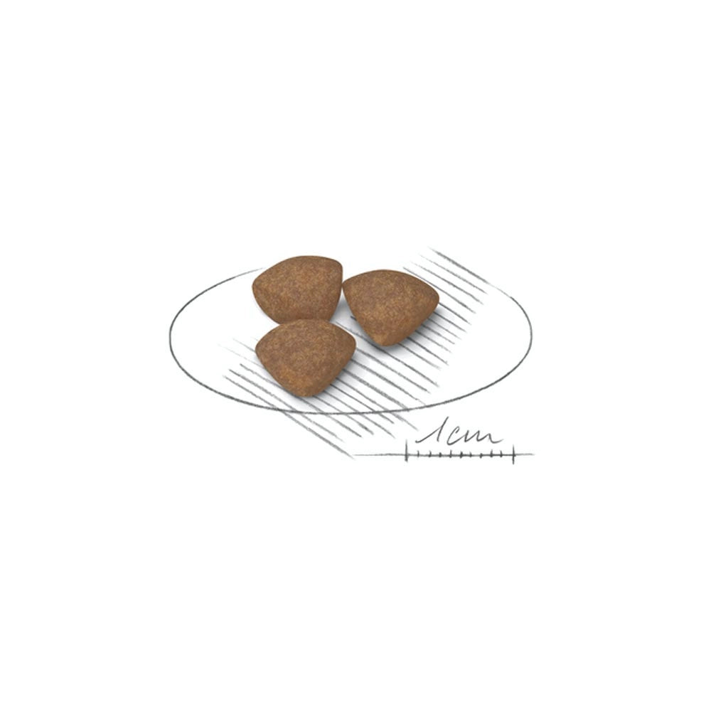 Royal canin mini puppy junior crocchette per cuccioli 3 confezioni da 2 kg