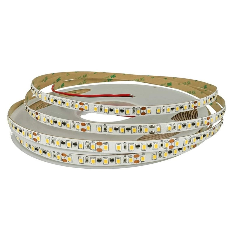 24V Striscia LED Corrente Costante 15 Metri IP20 6000K CRI 90 12W/M 100LM/W Passo 8mm