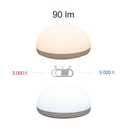 Lampada a led portatile e regolabile a batteria da 1w, Trion. Batteria li-ion. Luce 3000K o 5000K.
