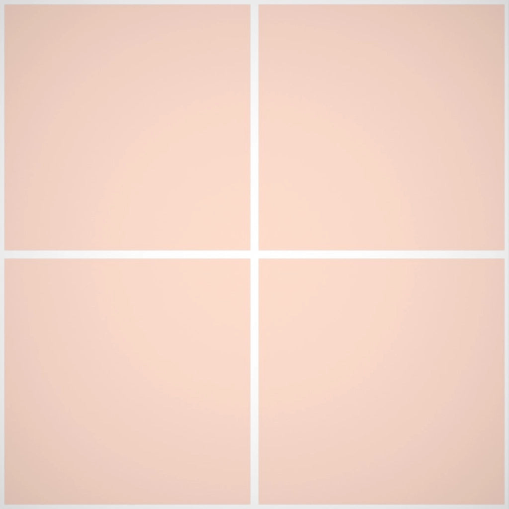 Pittura Murale Acril Silossanico Antialga Esterno - Rivestimenti Esterni B600 - Litri 14