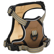 vidaXL Pettorina Cani con Guinzaglio e Collare Regolabile Marrone XL
